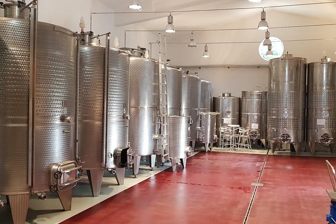 From Civitavecchia: Tuscany-Latium Wine Tour with Tastings - A Practical Look at the Price and Experience