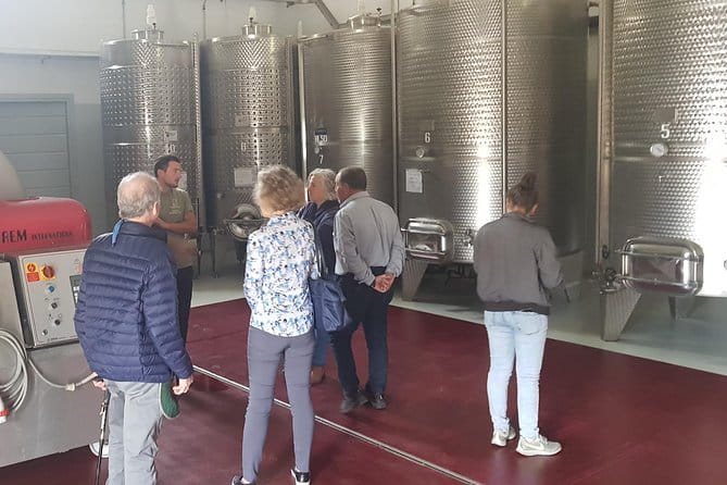 From Civitavecchia: Tuscany-Latium Wine Tour with Tastings - Final Thoughts: Is This Tour Right for You?