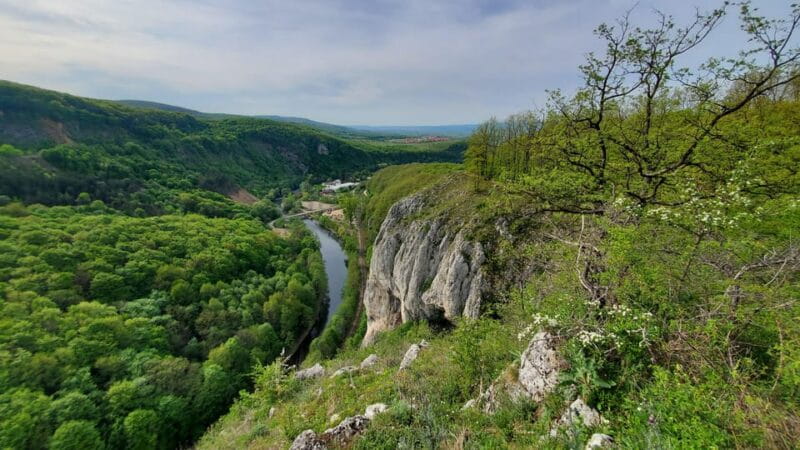 From Cluj: Gorges of Crisul Repede River - Discovering Romania’s Hidden Gem: The Crisul Repede Gorges from Cluj
