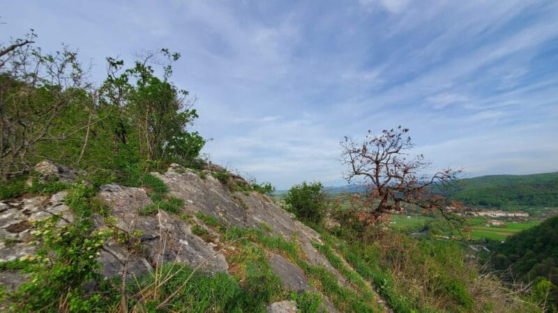 From Cluj: Gorges of Crisul Repede River - Final Thoughts: Who Should Consider This Experience?