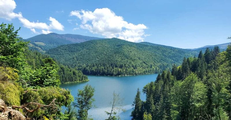 From Cluj: Mountain Bike around Lake Dragan - Discover the Wild Shores of Lake Dragan on a Mountain Bike Adventure
