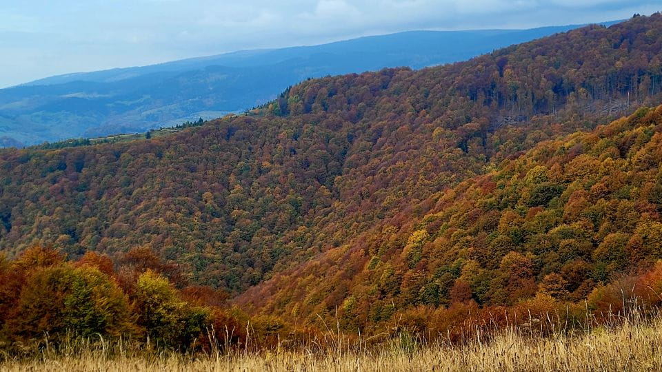 From Cluj-Napoca: Apuseni Mountains Hiking Guided Day Tour - Availability and Reservations