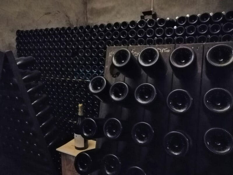 From Coimbra: Dão Wine Route Experience - Exploring the Dão Region: Portugal’s Burgundy