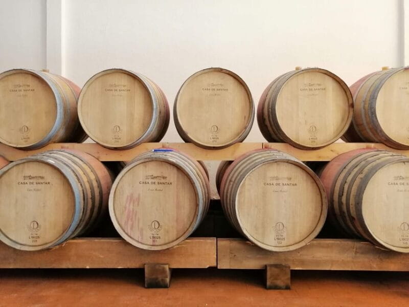 From Coimbra: Dão Wine Route Experience - Transportation and Comfort