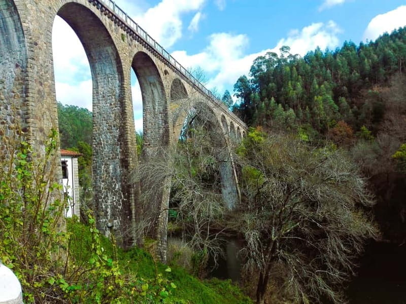 From Coimbra: Ecopista do Vouga cycling route - From Coimbra: Ecopista do Vouga Cycling Route – An Authentic Ride Through Portugal’s Lush Valleys