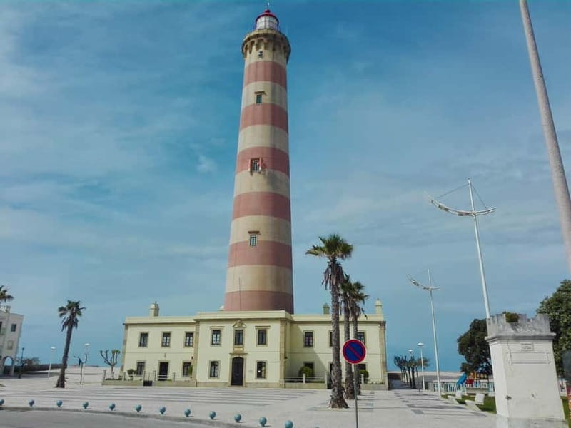 From Coimbra: Tour to Aveiro, Costa Nova beach and Moliceiro boat - Who Will Love This Tour?