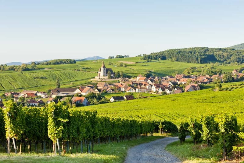 From Colmar: Alsace Villages Tour and Wine Tasting - Exploring the Alsace Villages: A View of Charm and Culture