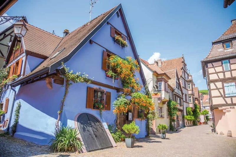 From Colmar: Alsace Villages Tour and Wine Tasting - Who This Tour Is Best For