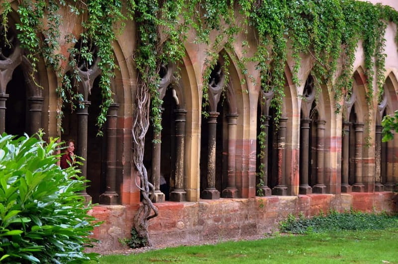 From Colmar: Alsace Villages Tour and Wine Tasting - FAQ