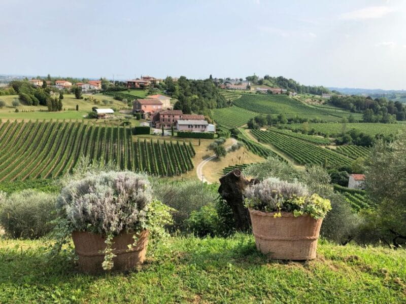 From Conegliano: Prosecco Hills Wine and Cheese Tasting Tour - The Bottom Line
