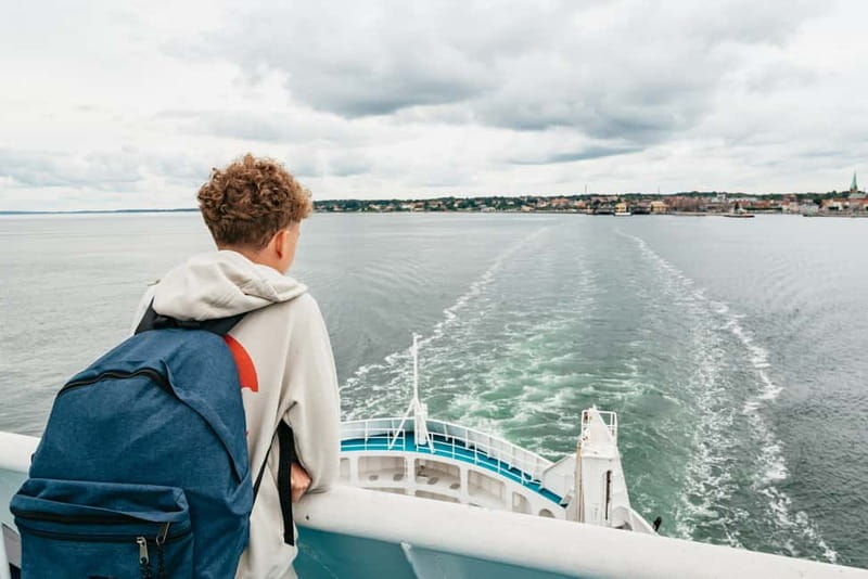 From Copenhagen: Lund and Malmö 2-Country Tour - Discover the charm of two countries in one day—on a guided tour from Copenhagen that whisks you over the Öresund to Sweden’s Lund and Malmö. This experience offers a blend of history, modern architecture, and scenic views, all packed into a well-organized 9-hour itinerary. It’s perfect for travelers eager to see more of Scandinavia without the hassle of planning individual trips.