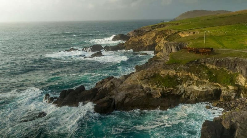 From Cork: Ring of Kerry & Killarney Guided Full Day Tour - Who is This Tour Best For?