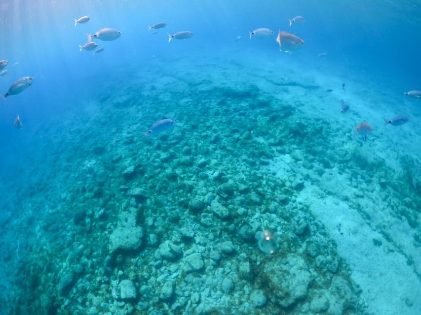From Corralejo: Lobos Island Boat and Snorkel Activity - Customer Reviews