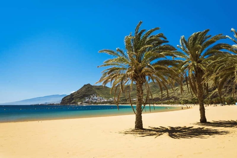 From Costa Adeje or Santa Cruz: Contrasts of Tenerife Tour - Key Points / Takeaways