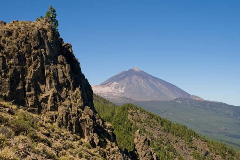 From Costa Adeje or Santa Cruz: Contrasts of Tenerife Tour - Starting in Santa Cruz or Costa Adeje: The Tour Begins
