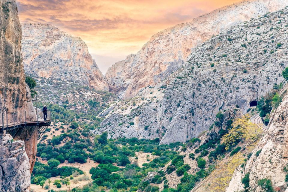 From Costa Del Sol: Caminito Del Rey Day Trip - Things To Know
