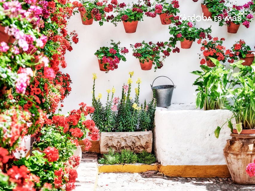 From Costa Del Sol: Day Trip to Cordoba Free Time - Accessibility Information