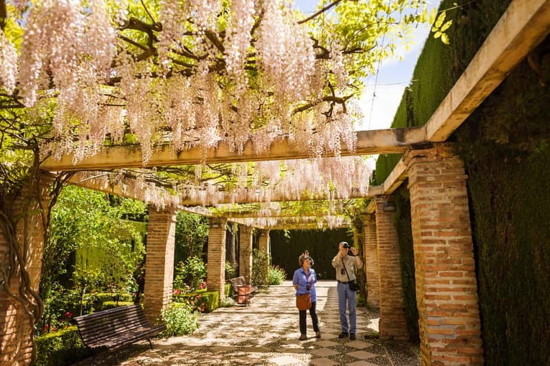 From Costa del Sol: Granada Full-Day Tour - Granada’s Historic Center and Local Flavor