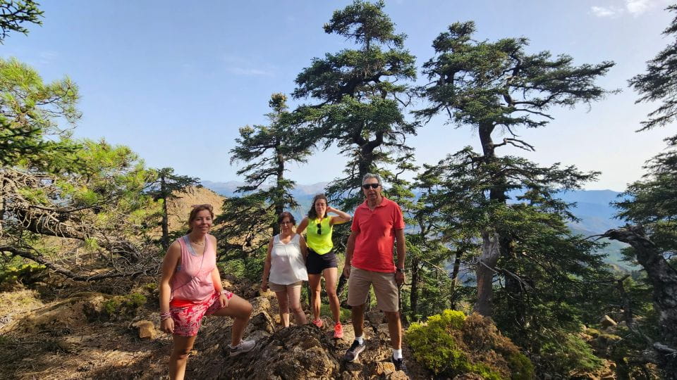 From Costa Del Sol: Sierra Bermeja Private Hiking Tour - Things To Know