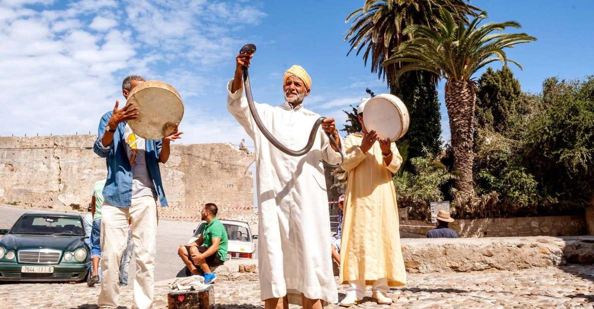 From Costa Del Sol: Tangier Full-Day Tour by Ferry - Experience Highlights