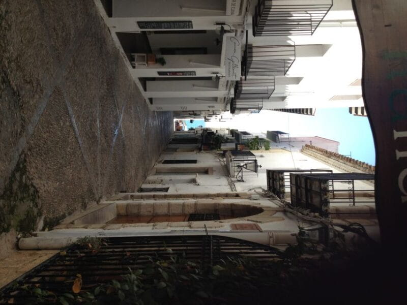 From Costa Dorada: Peñíscola and Ebro Delta Sightseeing Tour - Practicalities: Logistics, Comfort, and Tips