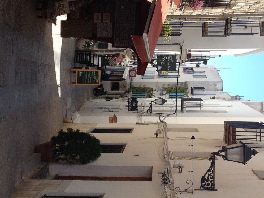 From Costa Dorada: Peñíscola and Ebro Delta Sightseeing Tour - Tips for a Great Experience