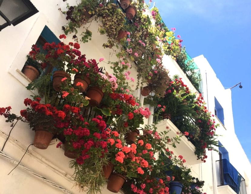 From Costa Dorada: Peñíscola and Ebro Delta Sightseeing Tour - Things To Know