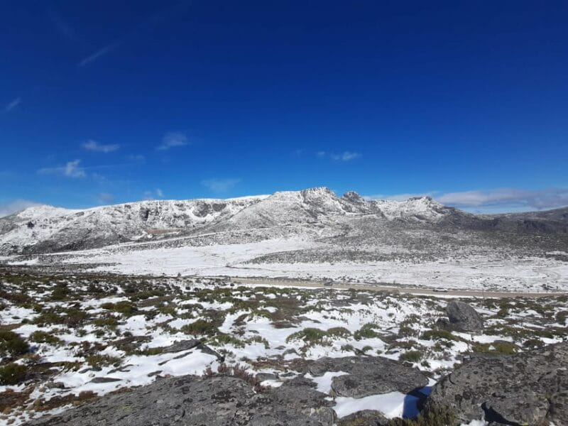 From Covilhã: Serra da Estrela Guided Tour with Lunch - Key points / Takeaways