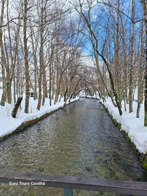 From Covilhã: Serra da Estrela Guided Tour with Lunch - Why Choose This Tour? An In-Depth Look