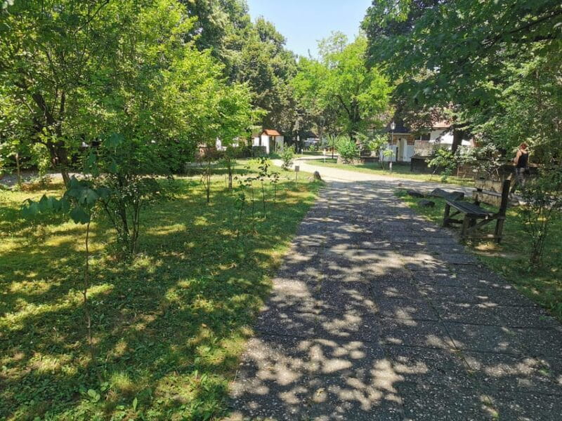 From Craiova: Bucharest Day Tour - A Slice of History at Revolution Square