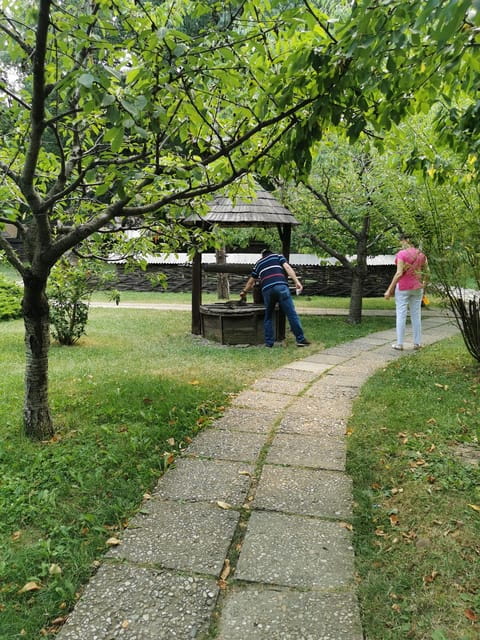 From Craiova: Bucharest Day Tour - Charm and Character in Bucharest’s Old Town