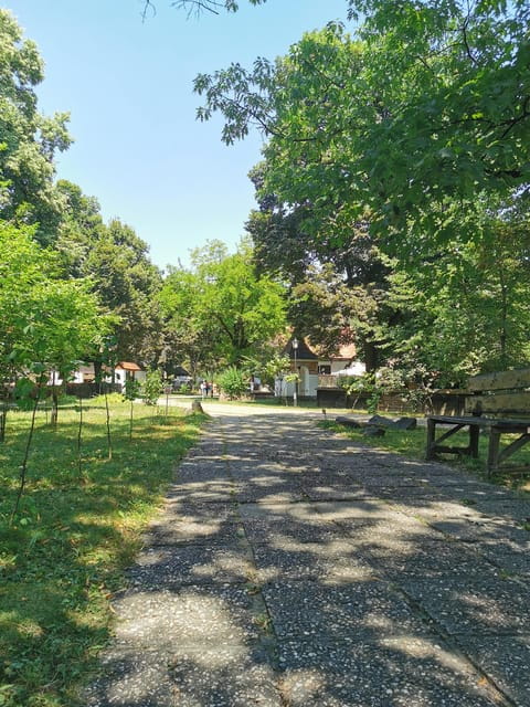 From Craiova: Bucharest Day Tour - Practical Details and Tips