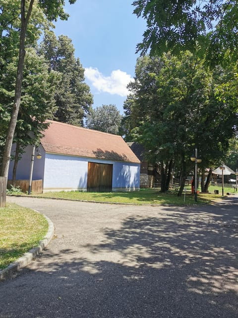 From Craiova: Bucharest Day Tour - Who Will Enjoy This Tour?