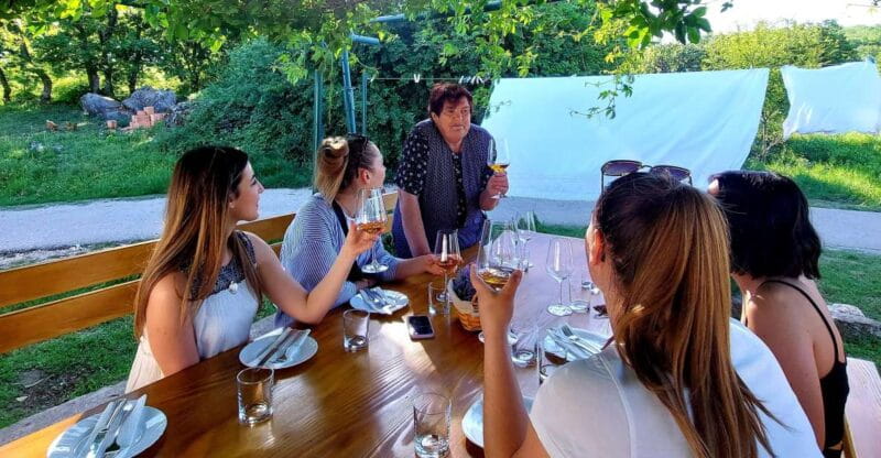 From cruise port: Split & Trogir Highlights Tour - Transport and Logistics: Making It Easy