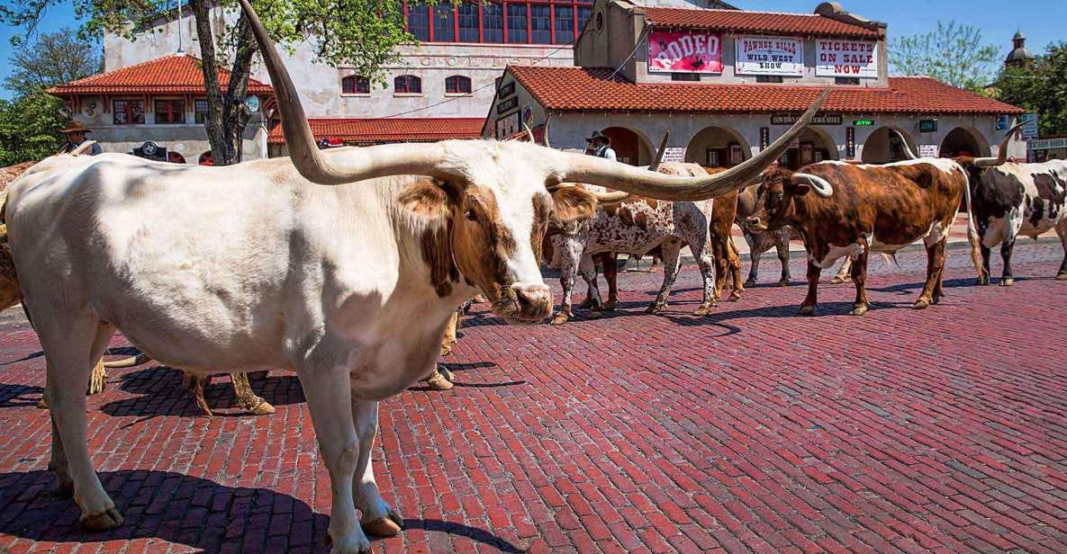 From Dallas: Fort Worth Guided Day Tour - Highlights and Inclusions