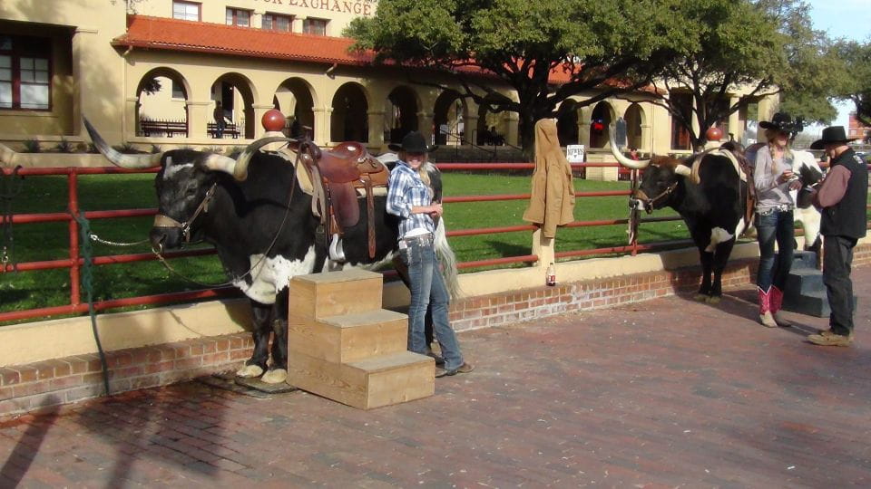 From Dallas: Fort Worth Guided Day Tour - Customer Feedback