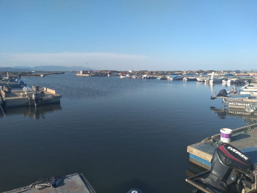 From Deltebre: Ebro Delta National Park Multi-Stop Day Trip - Mussel and Oyster Production