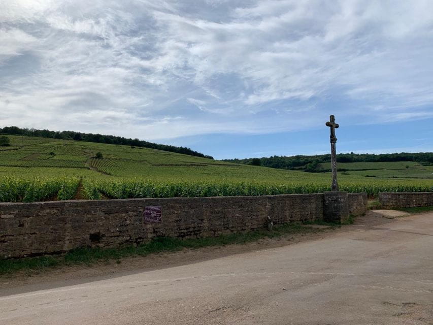 From: Dijon/Beaune: Burgundy Region Winery Tour With Lunch - Wine Tasting Experience