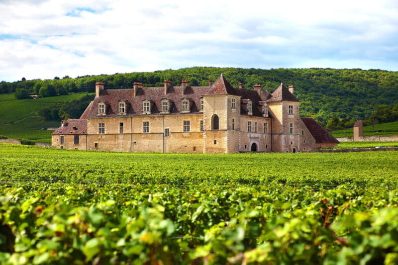 From Dijon: Côte de Nuits Wine-Tasting Tour - Introduction to Burgundy’s Iconic Côte de Nuits