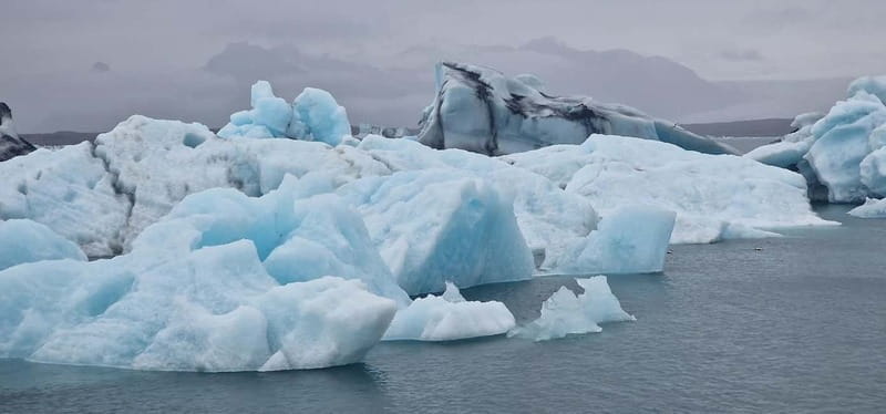 From Djúpivogur: Glacier Lagoon & Diamond Beach Day Trip - In-Depth Look at the Experience