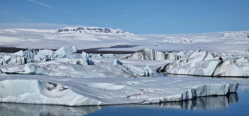 From Djúpivogur: Glacier Lagoon & Diamond Beach Day Trip - The Sum Up