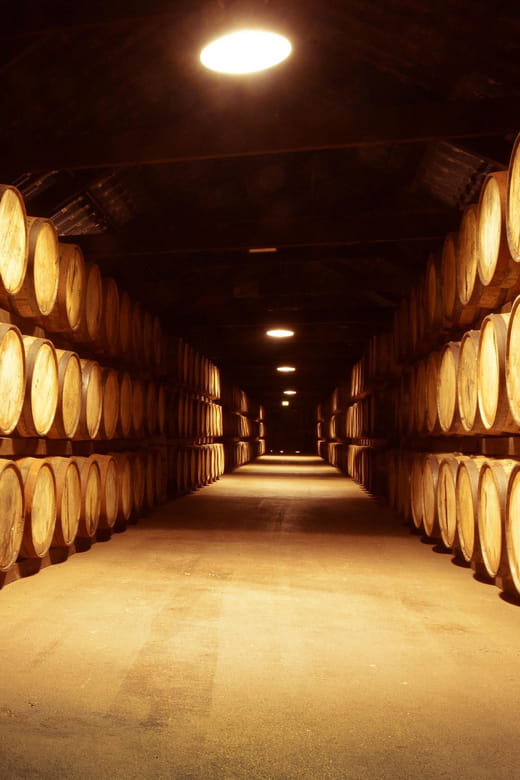 From Dublin: 5-Day Tour of Ireland's South-East - FAQ