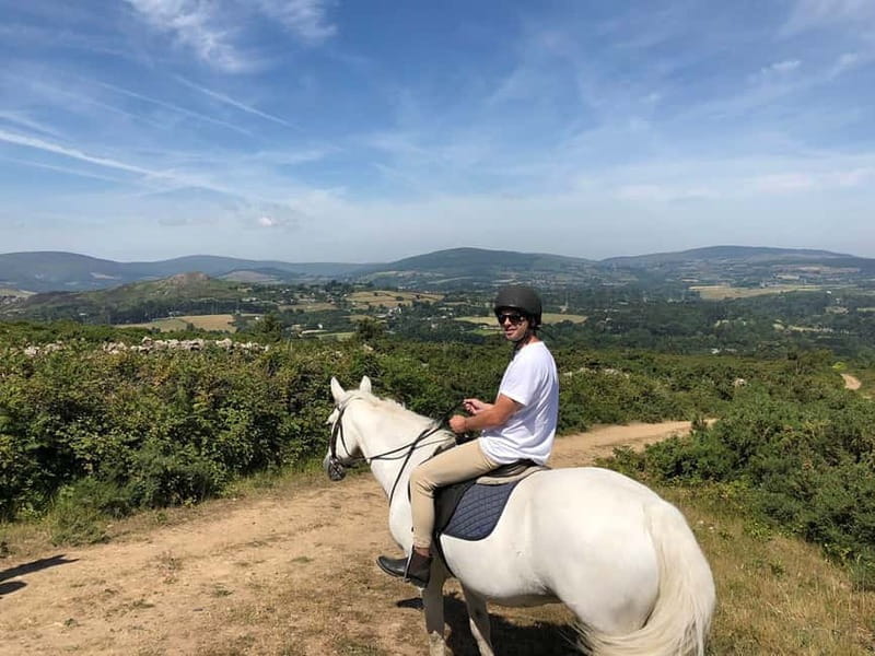 From Dublin: Wicklow, Powerscourt, and Glendalough Day Tour - Key Points / Takeaways