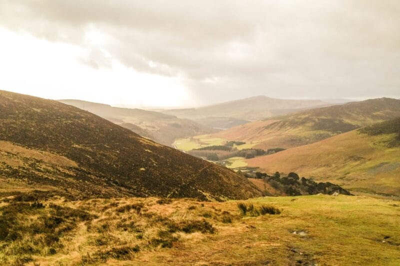 From Dublin: Wild Wicklow Mountains and Glendalough Tour - Winding Through the Wicklow Mountains