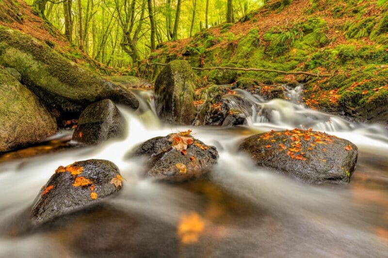 From Dublin: Wild Wicklow Mountains and Glendalough Tour - FAQ