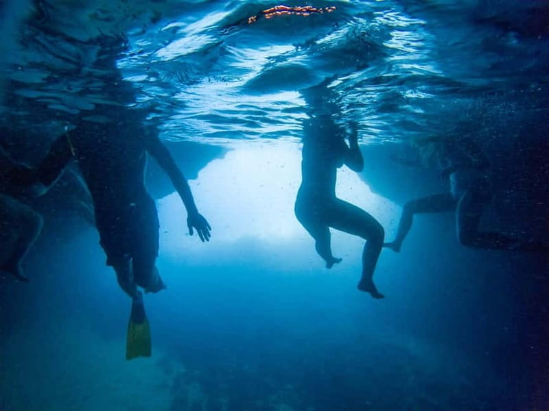 From Dubrovnik: Blue Lagoon and Elaphiti Islands Boat Tour - Who Will Benefit Most?