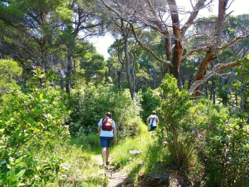 From Dubrovnik: Hiking & Swimming on Koloep Island Day Trip - FAQ