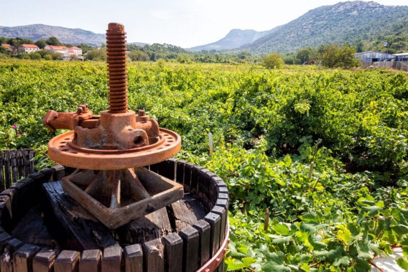 From Dubrovnik: Island of Korula with wine tasting - Key points / Takeaways