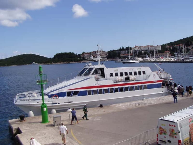 From Dubrovnik: Mljet Island Guided Catamaran Day Tour - Key points / Takeaways