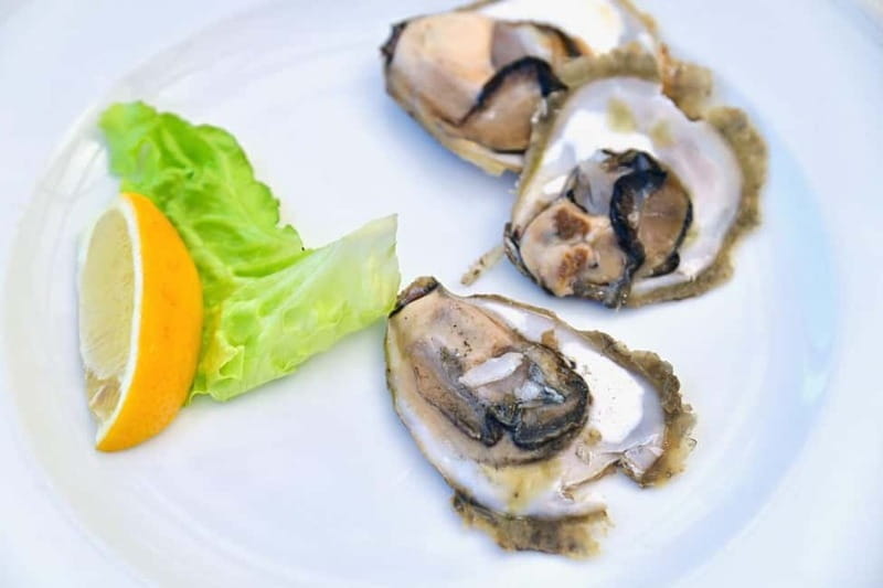 From Dubrovnik: Panorama Views, Ston Town and Saltworks - Who Should Consider This Tour?